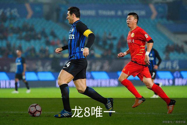 龙8唯一公司介绍图